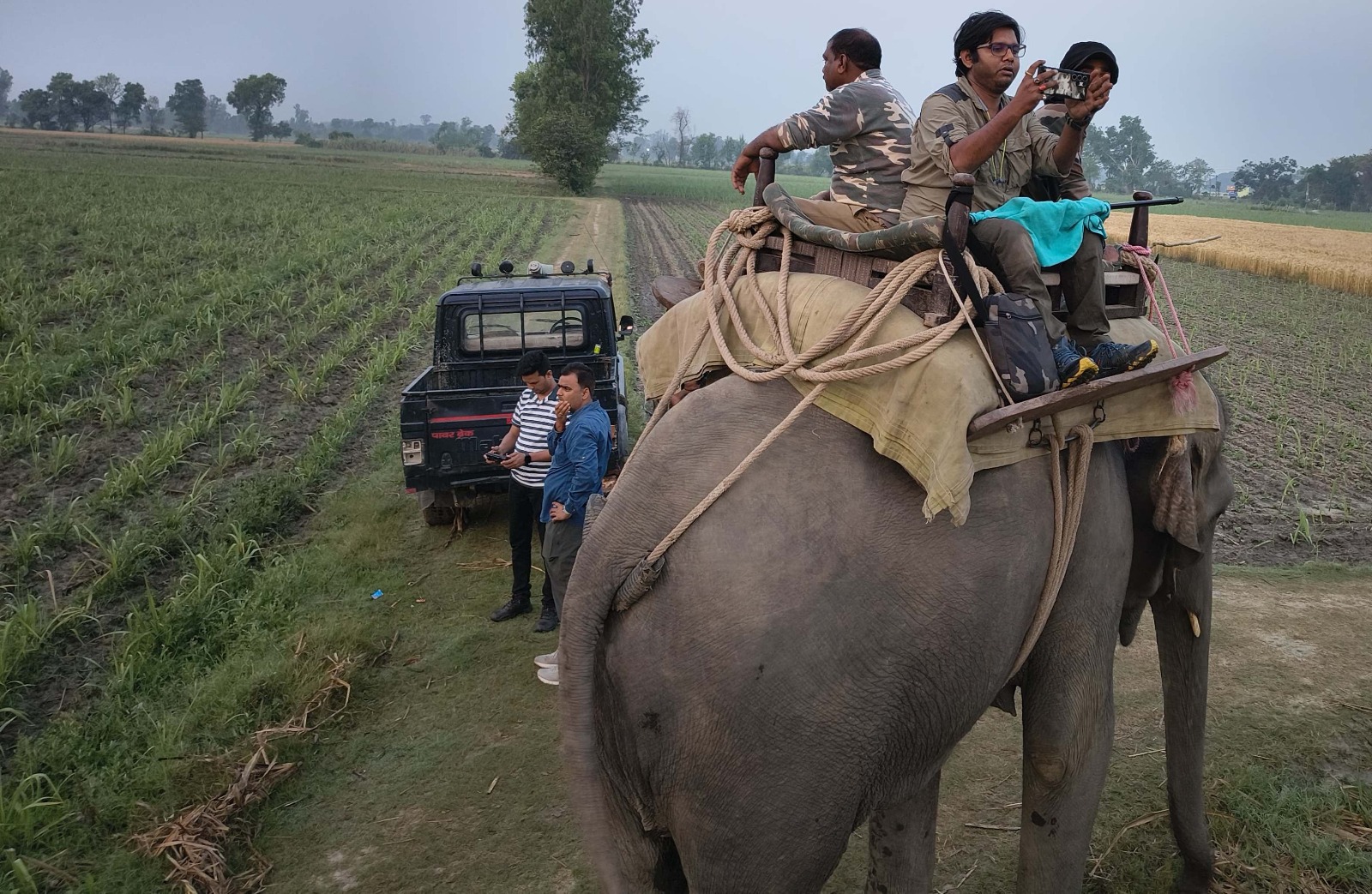दुधवा नेशनल पार्क: हथिनी पर चढ़कर बाघिन को तलाश रहे वन विभाग वाले