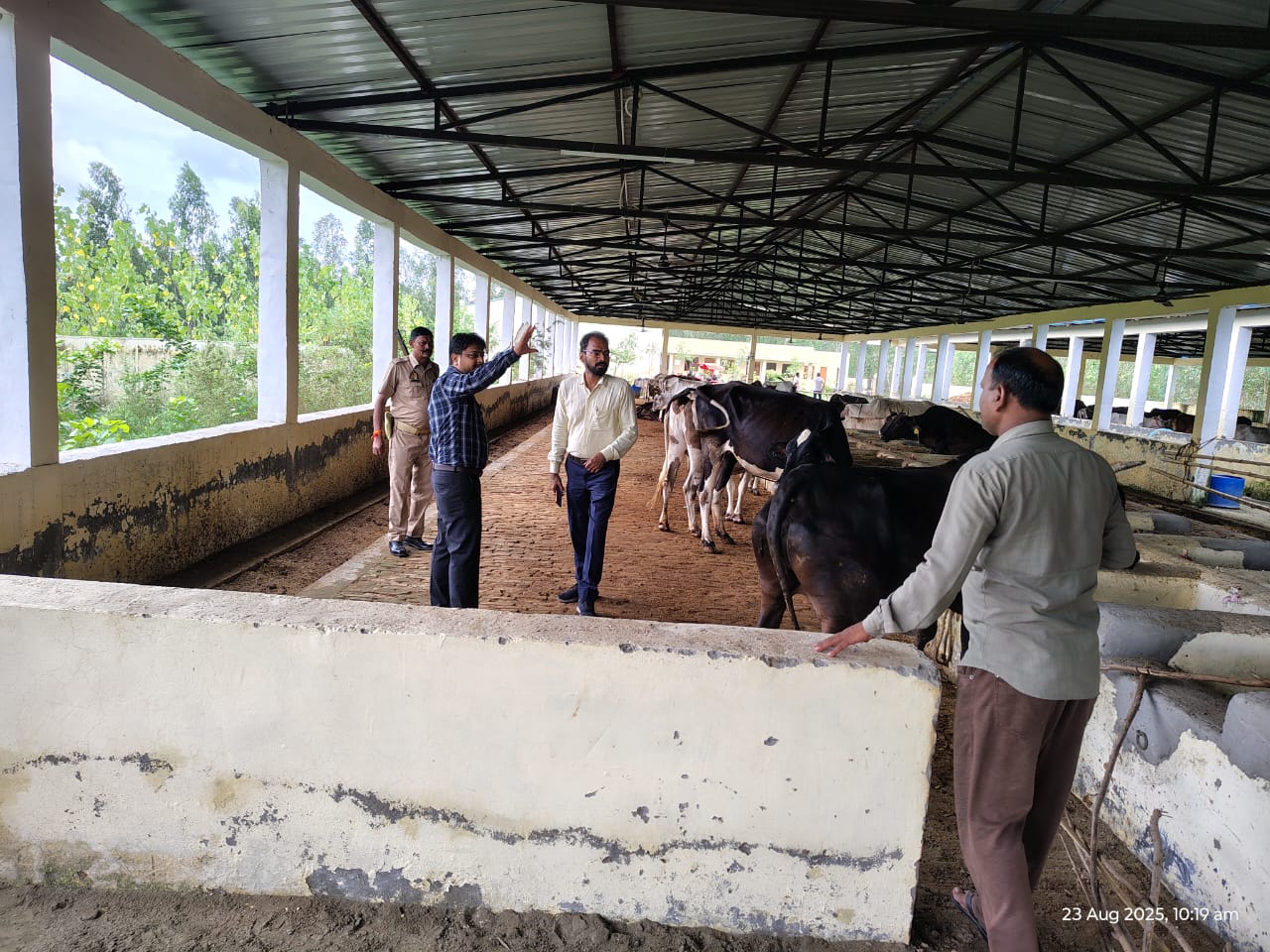 Bareilly News: चिटौली गोशाला में गंदगी की भरमार, तहसीलदार ने लगाई केयरटेकर की कड़ी फटकार