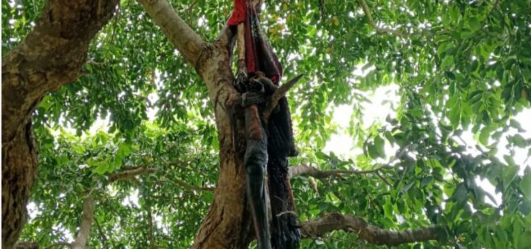 किशोर की हत्या कर तेजाब से शव जलाने का आरोप, कंकाल पेड़ पर लटका मिला; तीन आरोपी हिरासत में