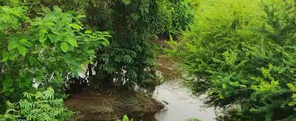 Bareilly News : शंखा नदी मे मिला कई दिनों पुराना अज्ञात अधेड़ महिला का शब, फैली सनसनी 