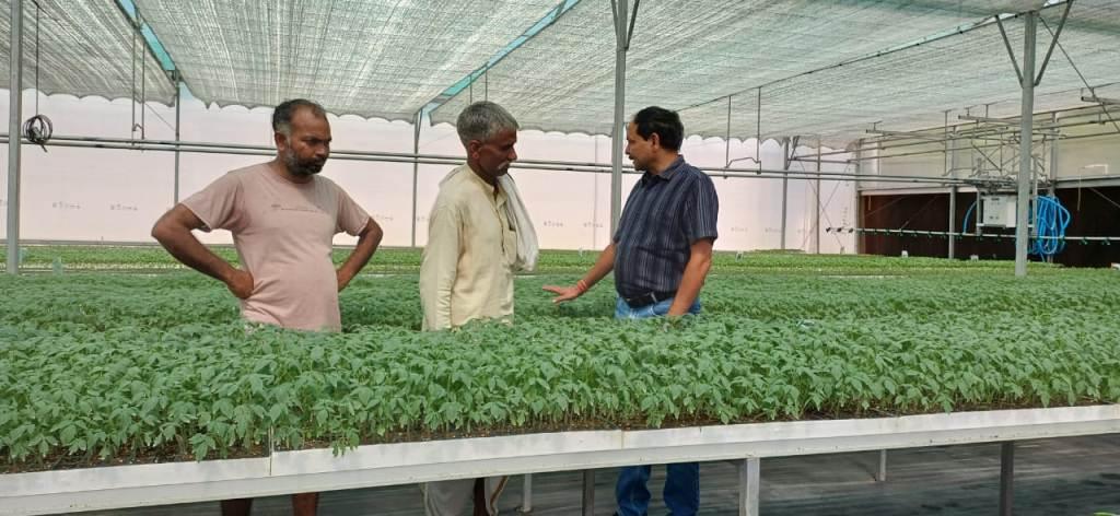 Bareilly News : सब्जियों की अगैती खेती कर किसान भाई प्राप्त कर सकते है अधिक लाभ