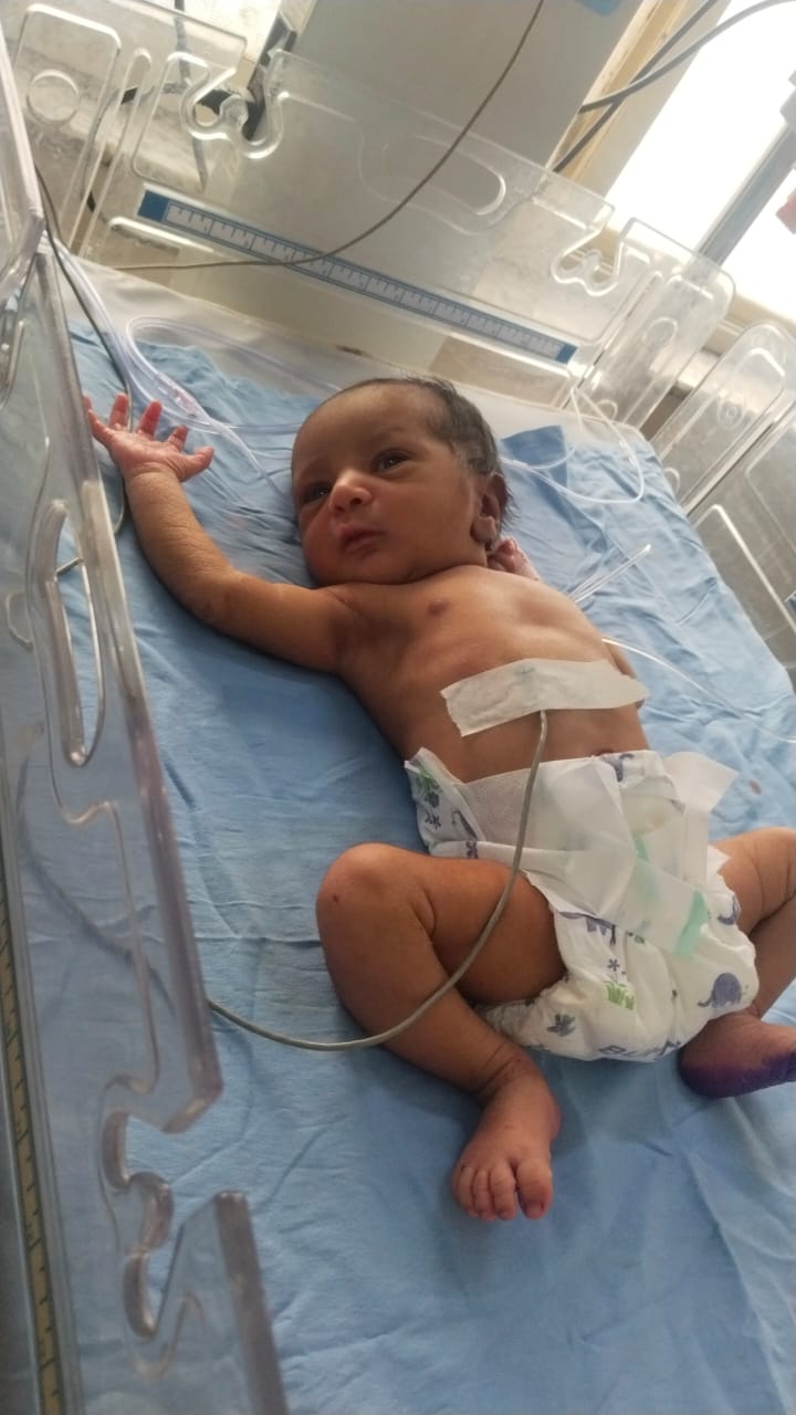 निर्ममता की हद! थैले में बंद कर नवजात को पीपल के नीचे छोड़ गई मां