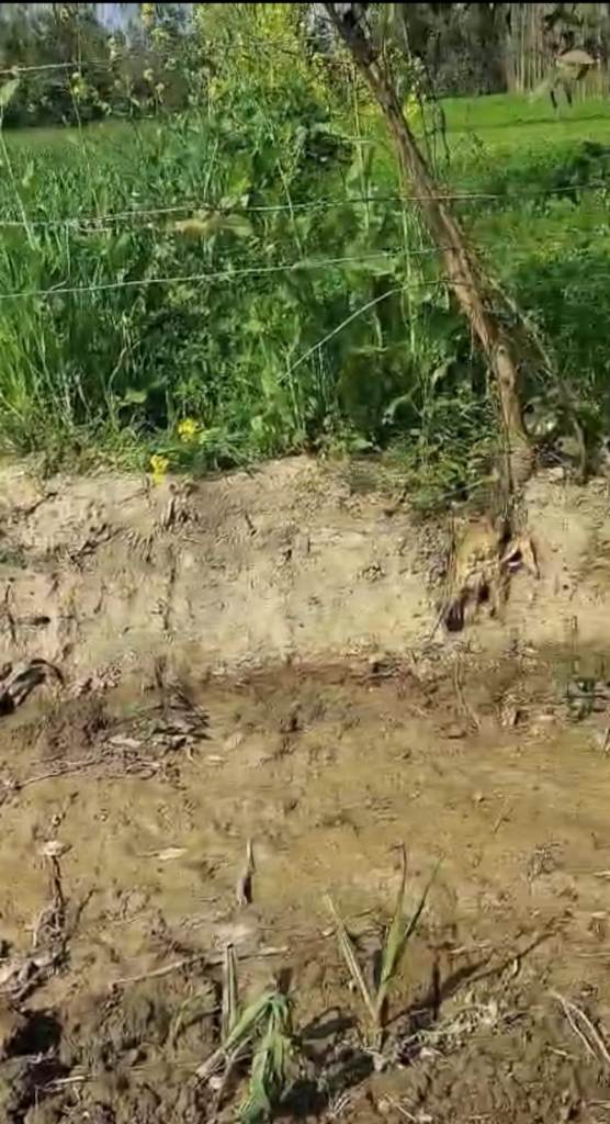 Bareilly News : पड़ोसी ने चकमार्ग काटकर बंद किया खेत का रास्ता, प्रशासन से कार्रवाई की मांग