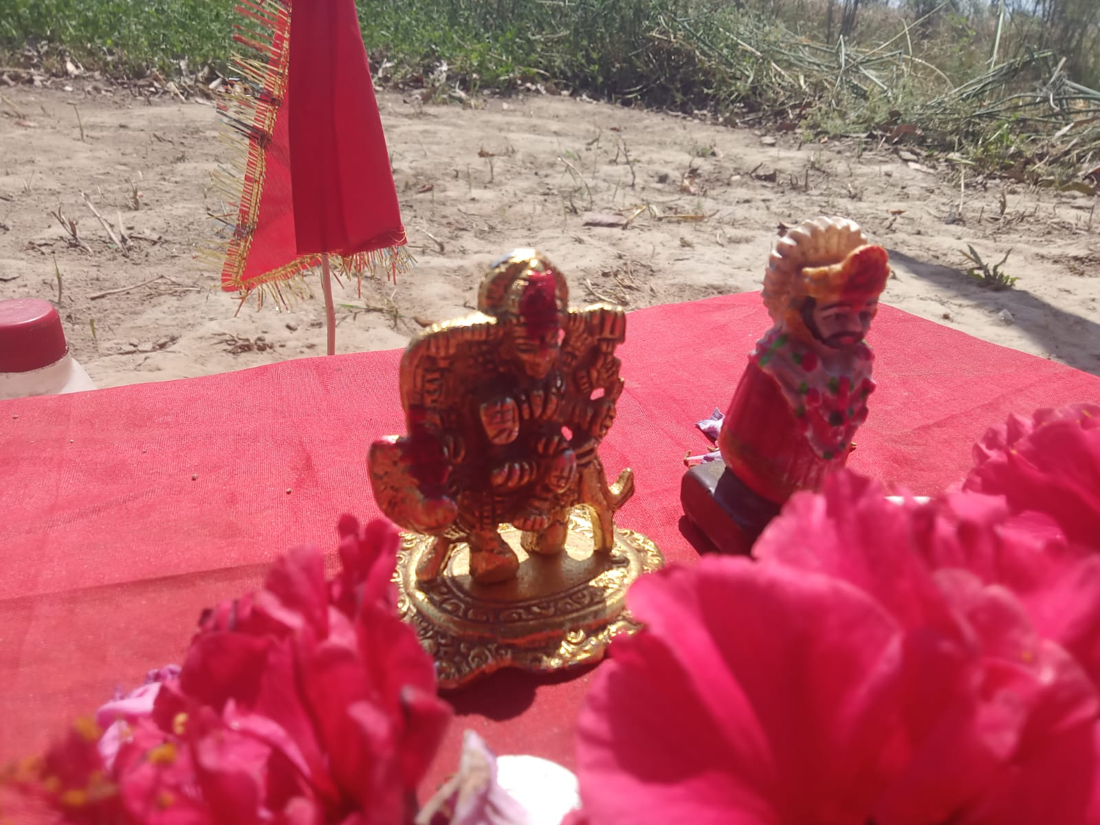 Badaun News : खेत की खुदाई में निकली खाटू श्याम व शेरावाली माता की मूर्ति