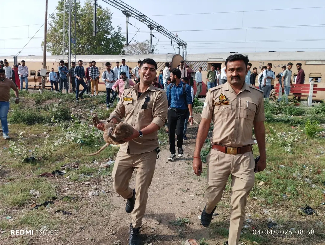 खाकी की वर्दी में धड़कती इंसानियत: गंजडुंडवारा मे करंट लगने से तड़पते बेजुबान बंदर के लिए देवदूत बने यूपी 112 के सिपाही, पेश की मानवता की मिसाल