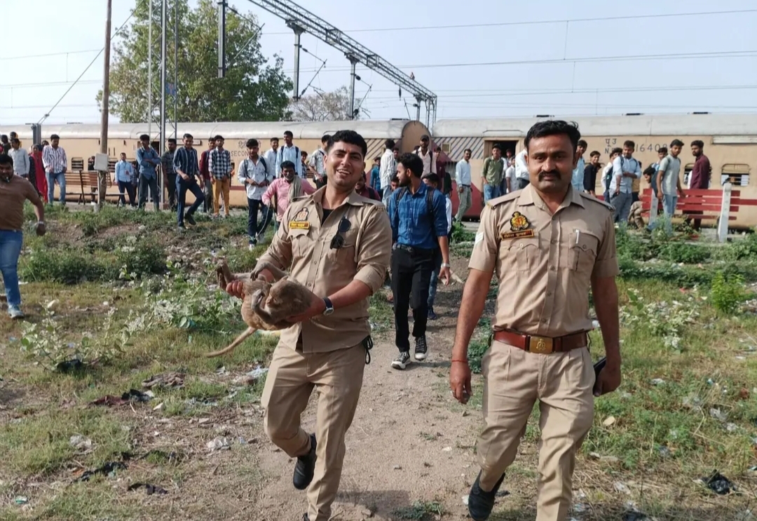 खाकी की वर्दी में धड़कती इंसानियत: गंजडुंडवारा मे करंट से तड़पते बेजुबान बंदर के लिए देवदूत बने यूपी 112 के सिपाही, मानवता की पेश की मिसाल