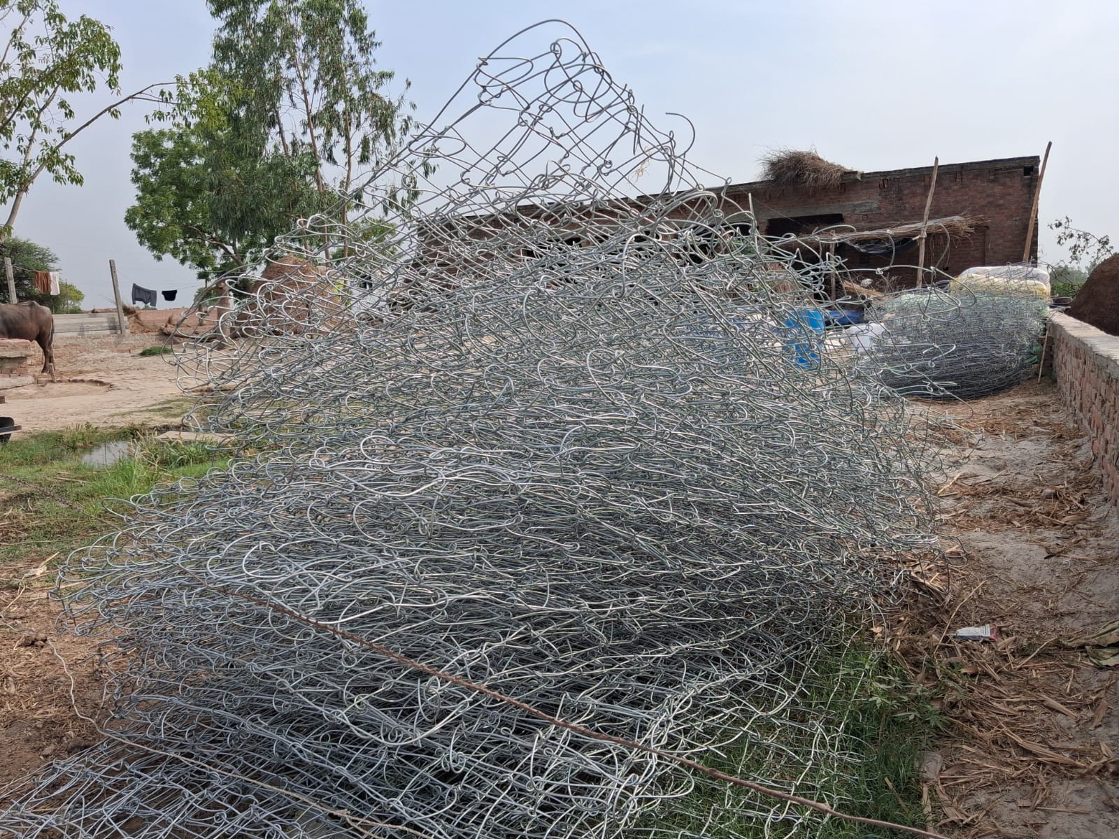 KASGANJ NEWS पटियाली तहसील के बरौना गांव में गंगा कटान रोकने के लिए 350 मीटर पक्का बांध निर्माण शुरू, लेकिन कार्य की गुणवत्ता पर स्थानीय लोगों ने जताई चिंता। 