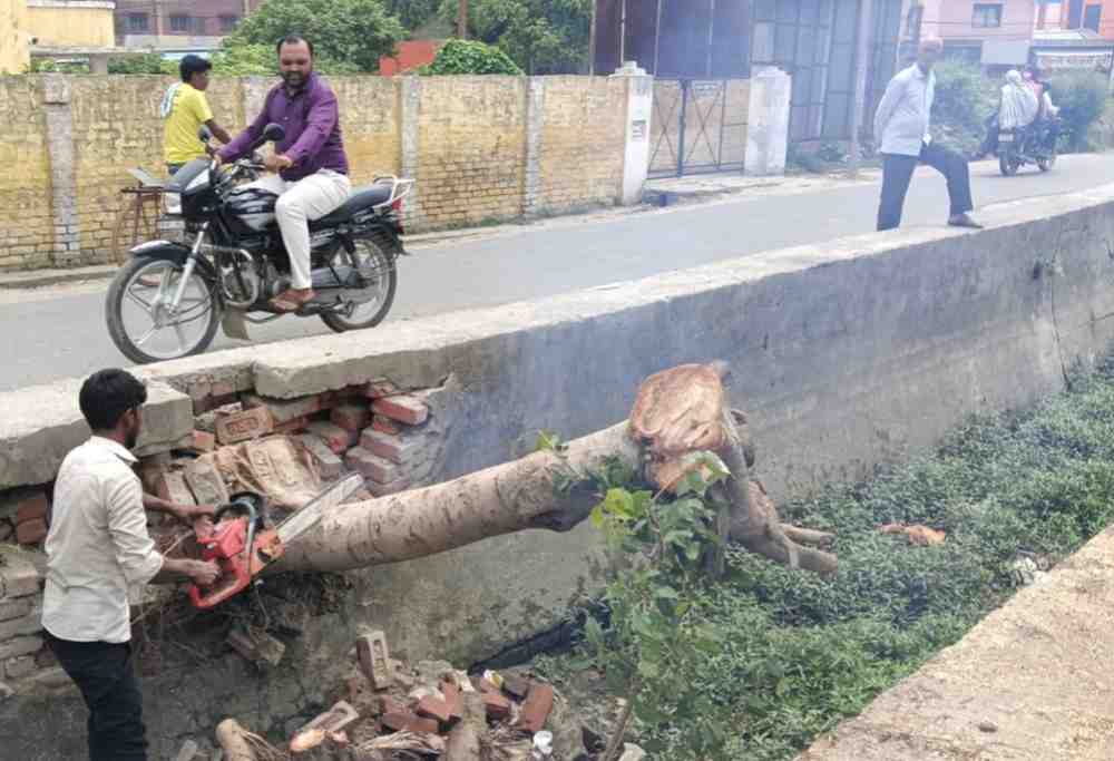KASGANJ: सपा प्रवक्ता अब्दुल हफीज गांधी के उठाए मुद्दे का असर......24 घंटे में हटा सड़क पर पड़ा विशाल पेड़