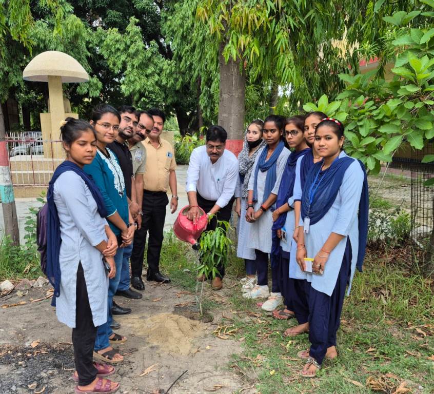 Bareilly News : विश्व पर्यावरण दिवस पर मीरगंज के शिक्षण संस्थानों में वृक्षारोपण, पर्यावरण संरक्षण का लिया संकल्प