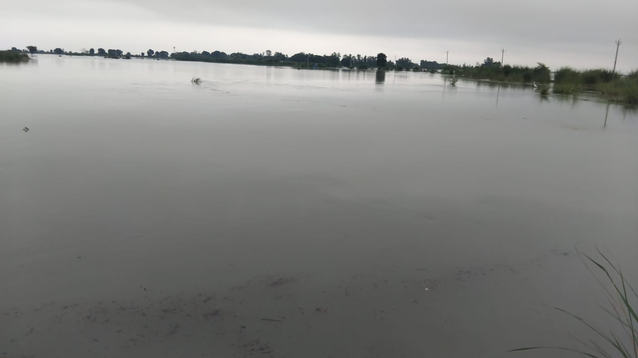 Kasganj: हर साल गंगा चढ़ती है... हर साल दर्जनो गांव डूबते हैं, लेकिन स्थायी समाधान की आस रहती है अधूरी
