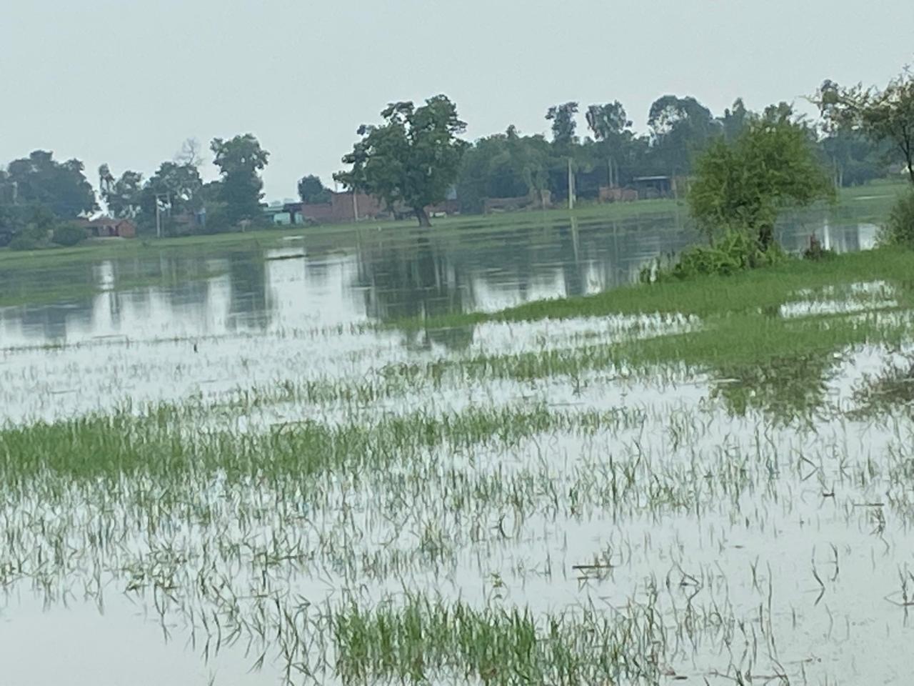 Kasganj: एक तरफ चढ़ती गंगा, दूसरी तरफ राहत का सहारा, बाढ़ में जिंदगी बचाने की जद्दोजहद