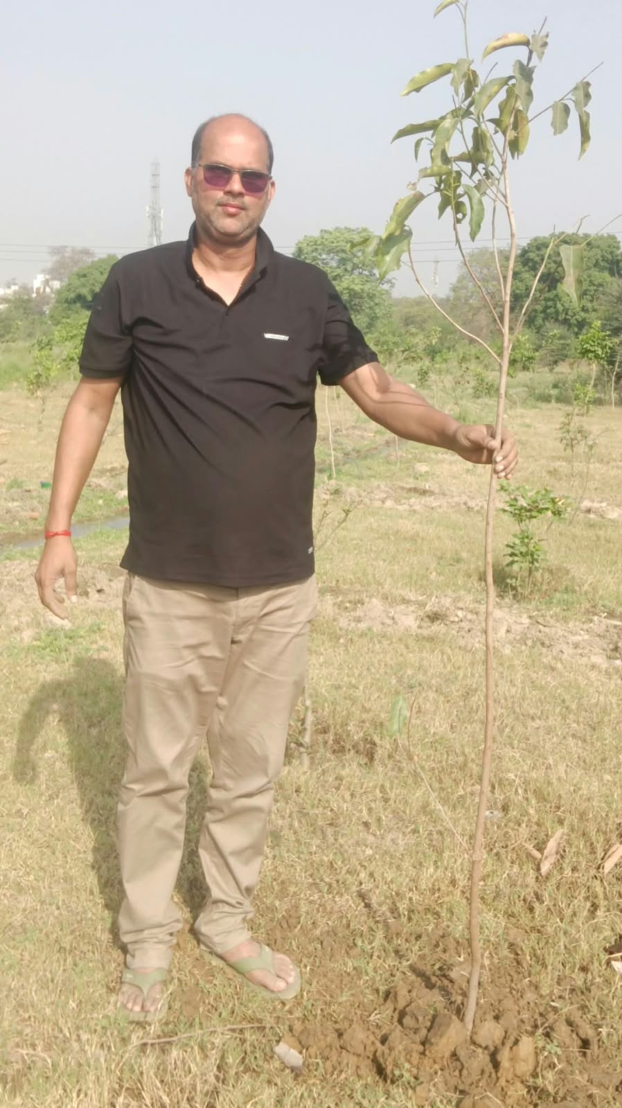 गो-सेवा आयोग ने आलोक मिश्र को सौंपी अहम जिम्मेदारी