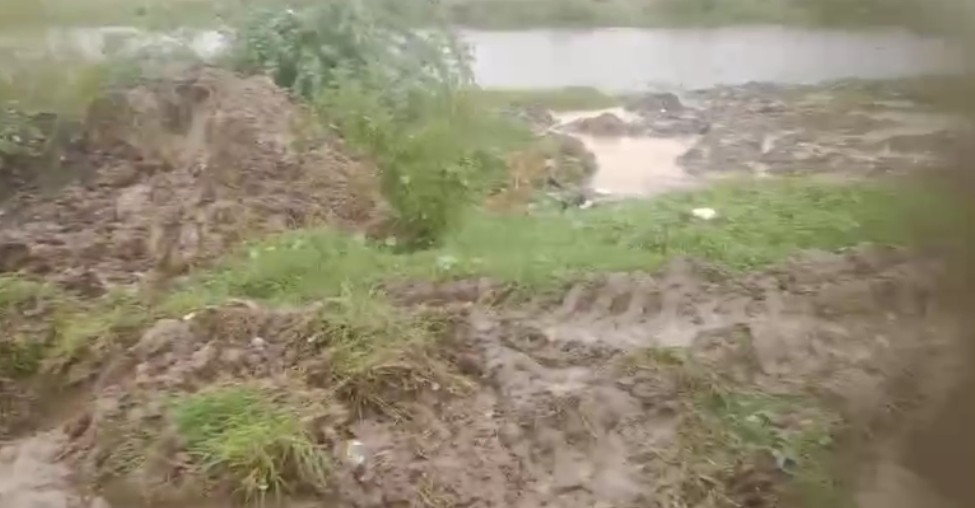 Badaun News : गौशाला में 8 गायों की मौत, अव्यवस्थाओं पर सवाल